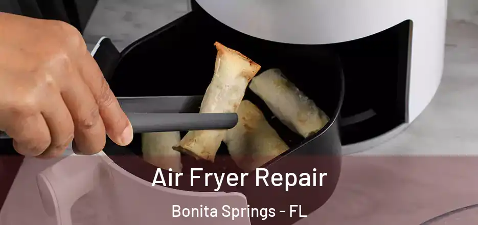  Air Fryer Repair Bonita Springs - FL