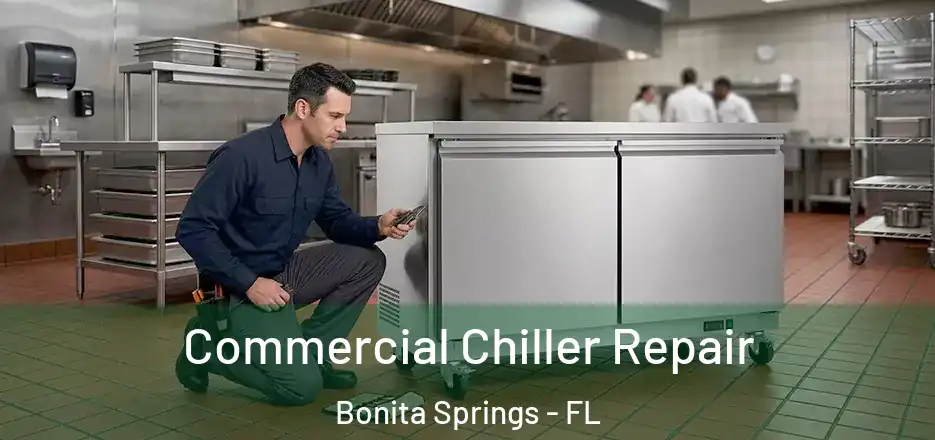 Commercial Chiller Repair Bonita Springs - FL