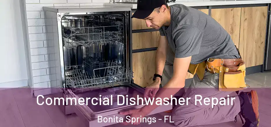  Commercial Dishwasher Repair Bonita Springs - FL