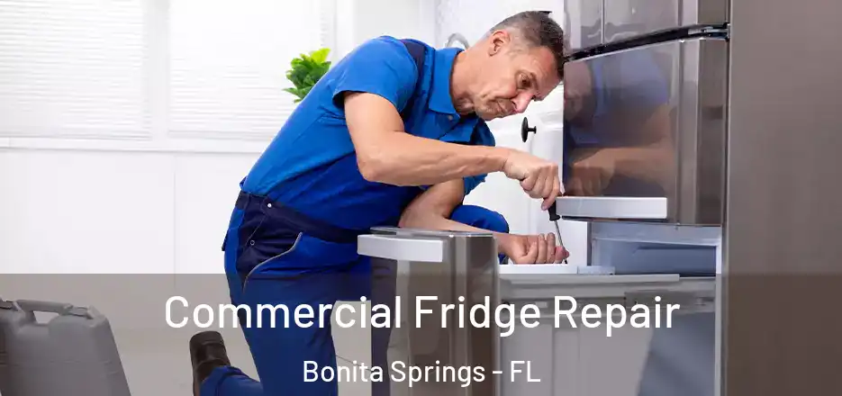 Commercial Fridge Repair Bonita Springs - FL