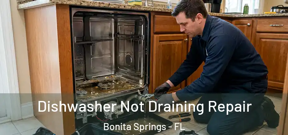  Dishwasher Not Draining Repair Bonita Springs - FL