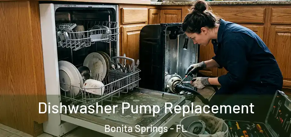Dishwasher Pump Replacement Bonita Springs - FL