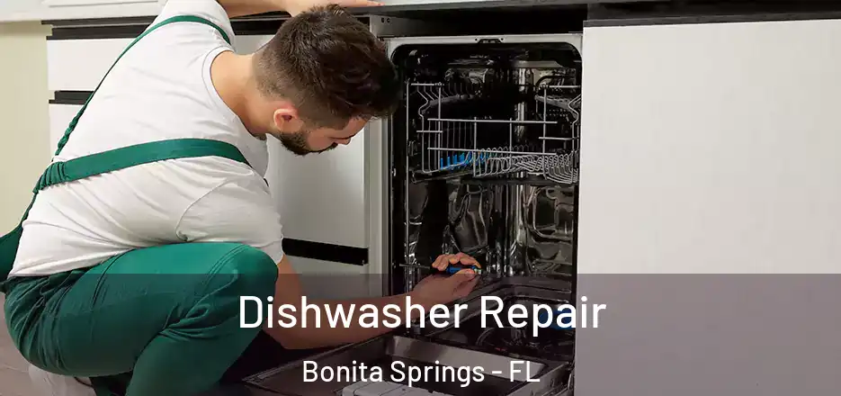 Dishwasher Repair Bonita Springs - FL