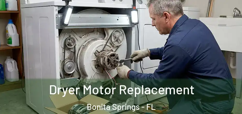  Dryer Motor Replacement Bonita Springs - FL