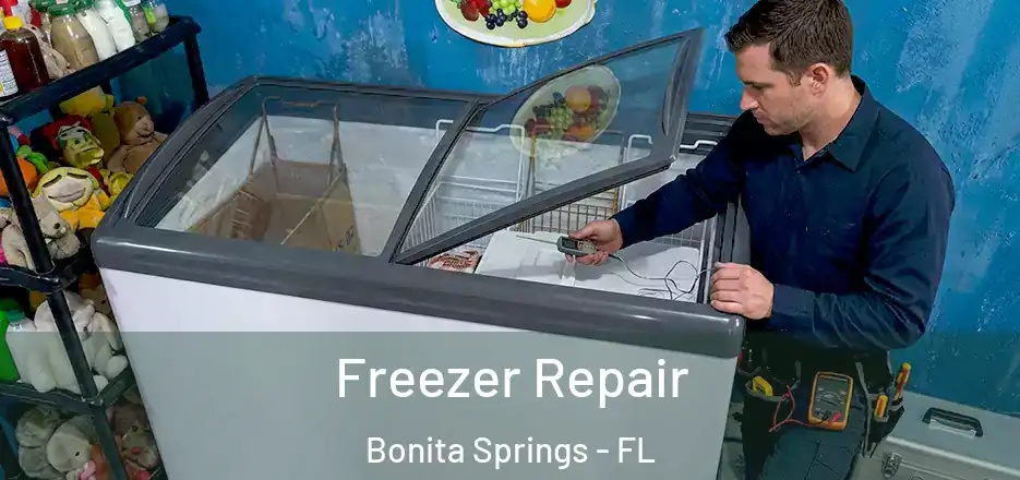  Freezer Repair Bonita Springs - FL