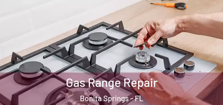  Gas Range Repair Bonita Springs - FL