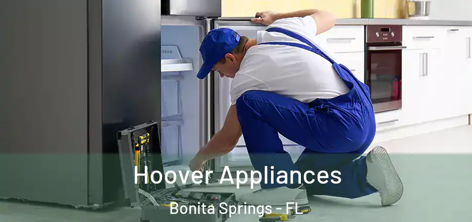  Hoover Appliances Bonita Springs - FL