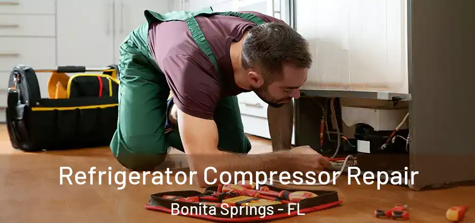  Refrigerator Compressor Repair Bonita Springs - FL