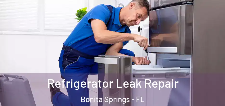Refrigerator Leak Repair Bonita Springs - FL