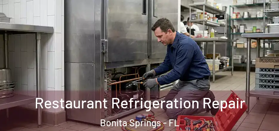  Restaurant Refrigeration Repair Bonita Springs - FL
