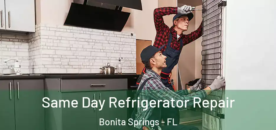  Same Day Refrigerator Repair Bonita Springs - FL