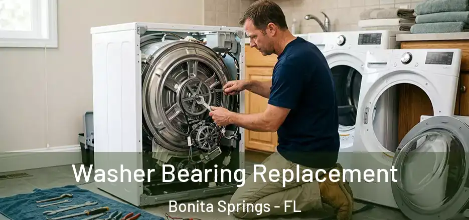  Washer Bearing Replacement Bonita Springs - FL