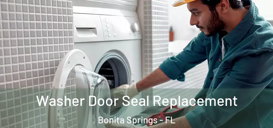  Washer Door Seal Replacement Bonita Springs - FL