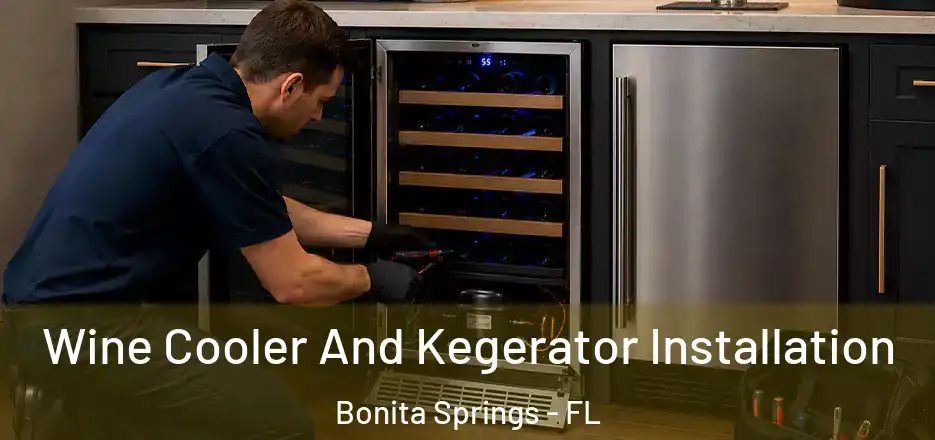 Wine Cooler And Kegerator Installation Bonita Springs - FL